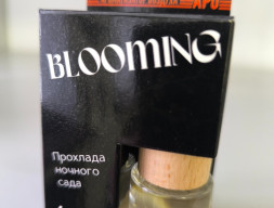Blooming (Прохлада ночного сада)